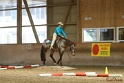 26-ApHC GT_166